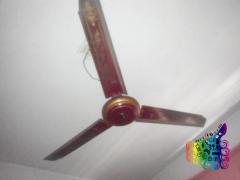 Jomuna ceiling fan.red