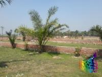 Green land in Tongi-2.5 katha