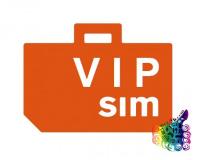 Vip Sim 0171111111